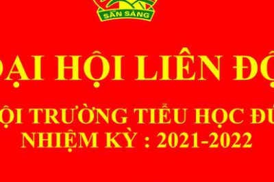 ĐẠI HỘI LIÊN ĐỘI